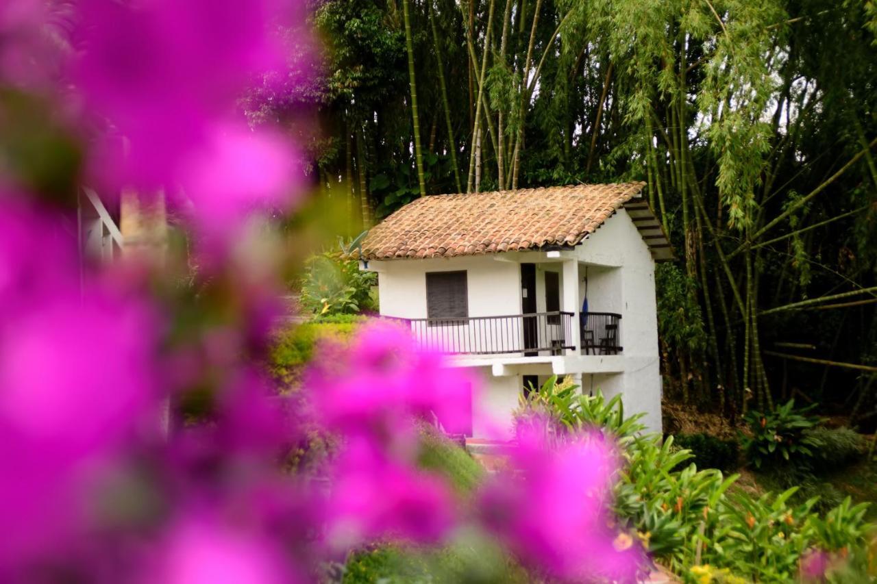 Finca Hotel Loma Verde キンバヤ エクステリア 写真